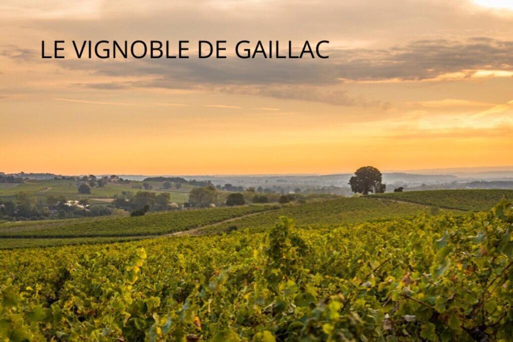 Appartement La Toscanelle - Quartier Historique - Gaillac Dış mekan fotoğraf